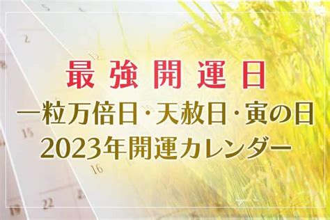 寅辰日2023